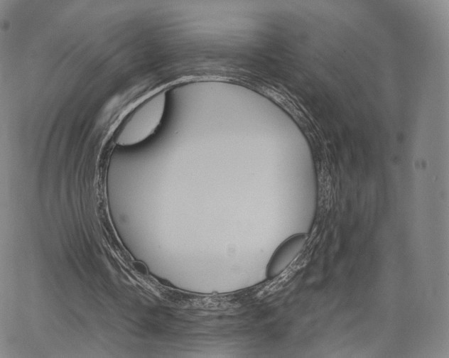 X0000067480338200604070933