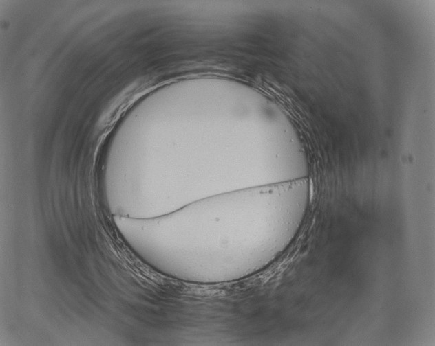 X0000067480339200604070933