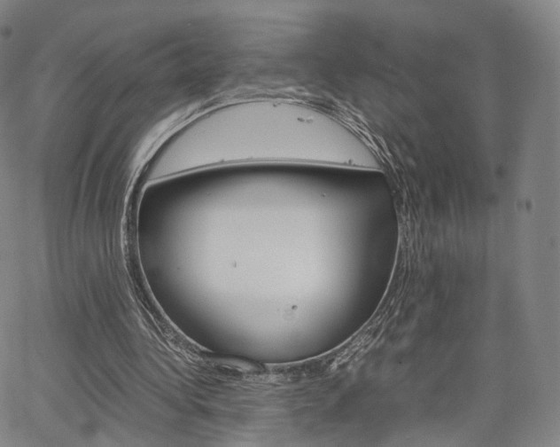 X0000067480340200604070933