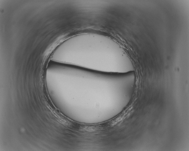 X0000067480341200604070933