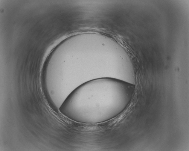 X0000067480342200604070933