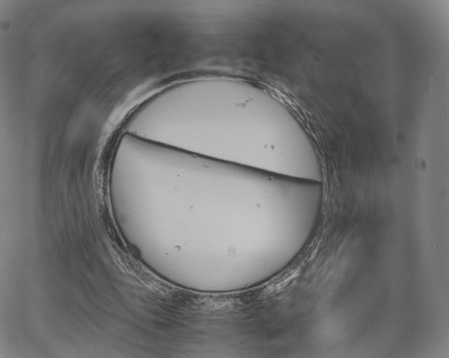 X0000067480343200604070933