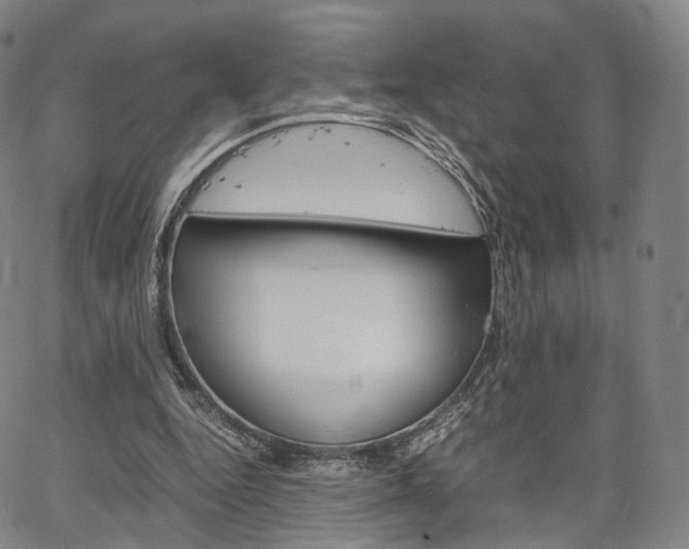 X0000067480344200604070933