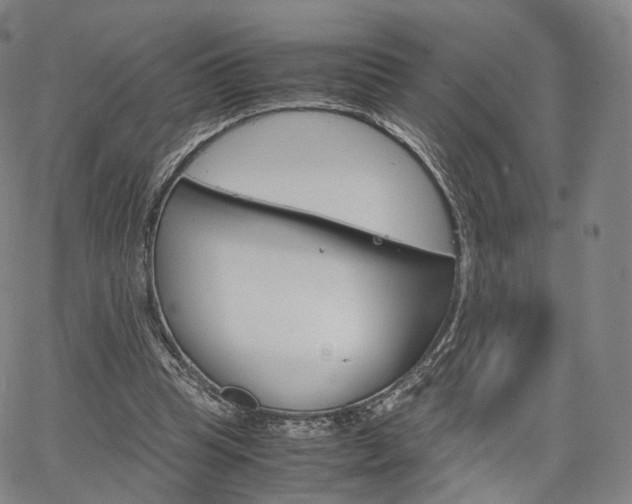 X0000067480345200604070933