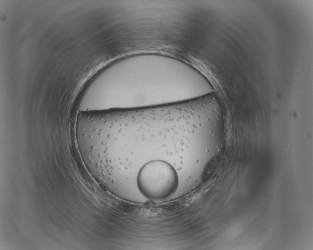 X0000067480346200604070933