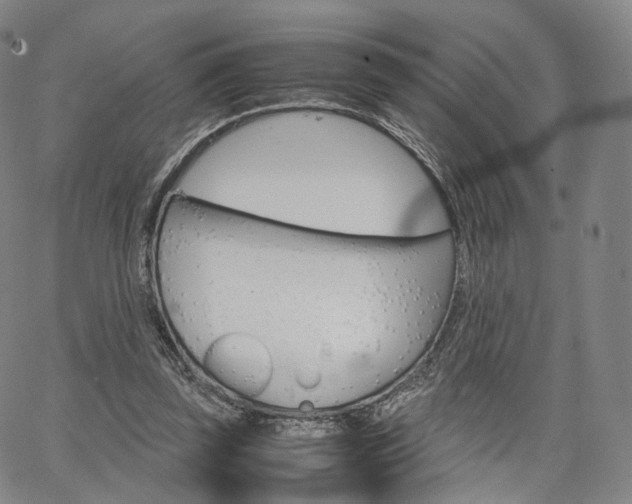 X0000067480347200604070933