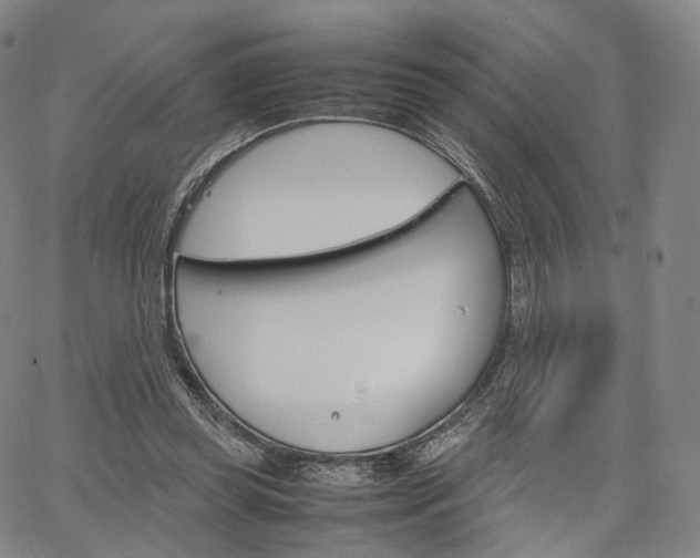 X0000067480349200604070933