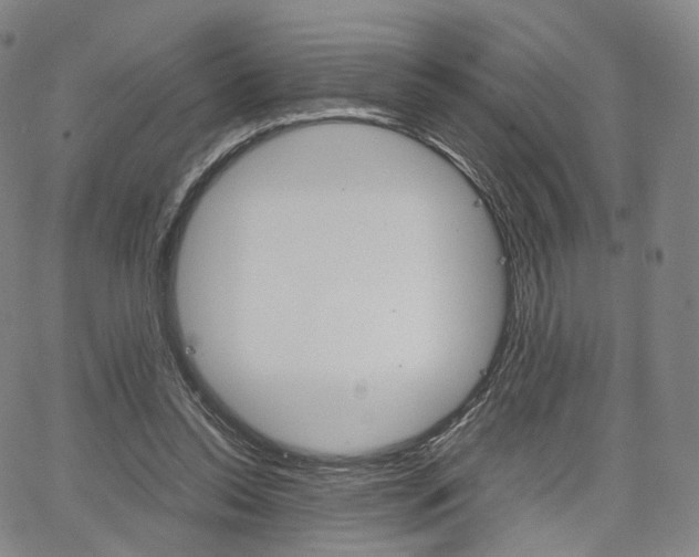 X0000067480350200604070933