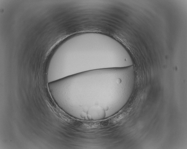 X0000067480351200604070933