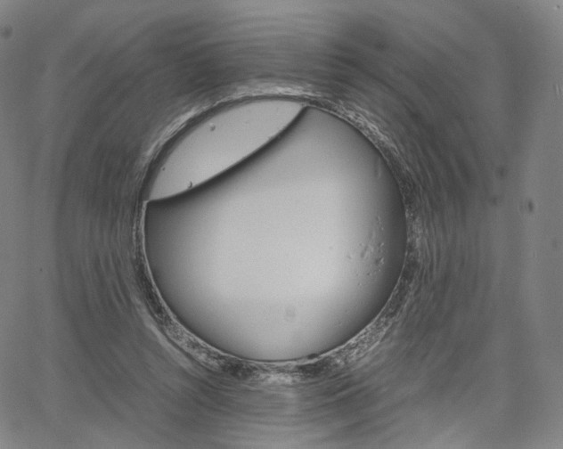 X0000067480352200604070933