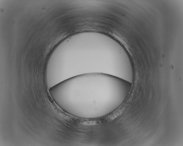 X0000067480353200604070933