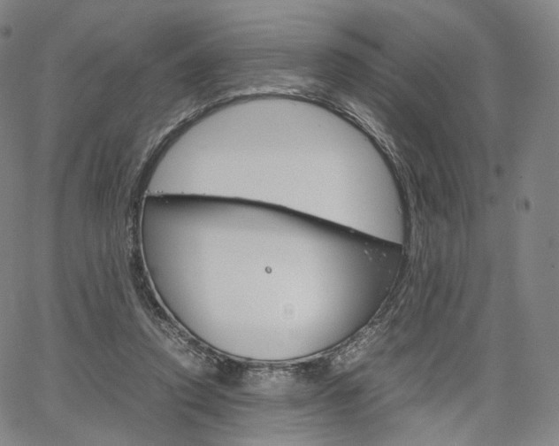 X0000067480354200604070933