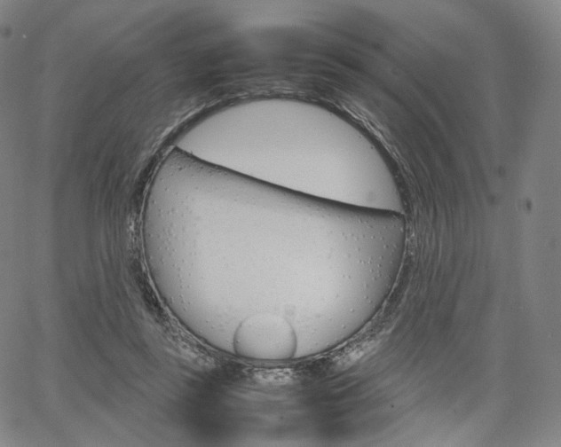 X0000067480355200604070933