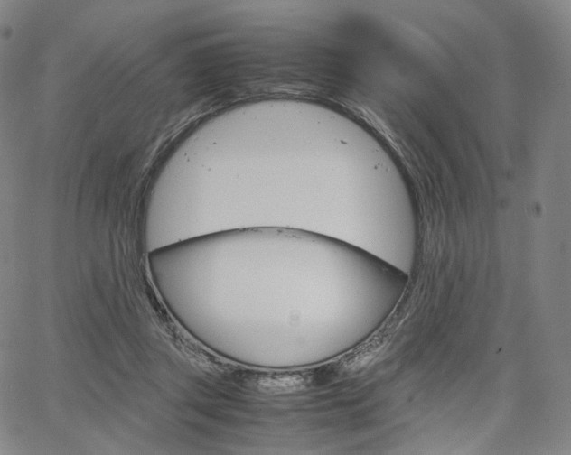 X0000067480357200604070933