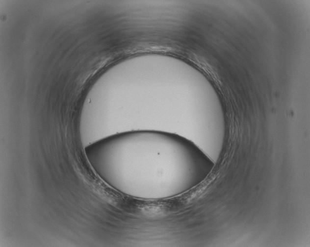 X0000067480358200604070933