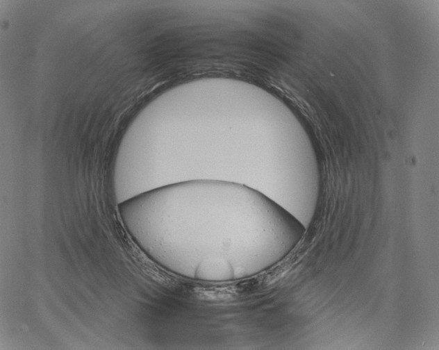 X0000067480359200604070933