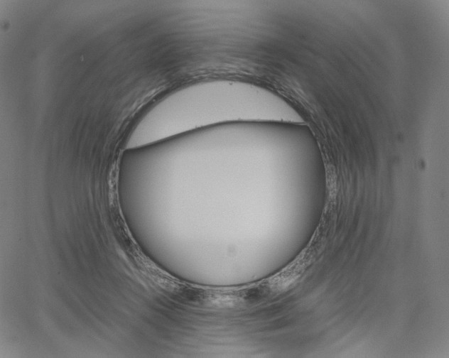 X0000067480360200604070933