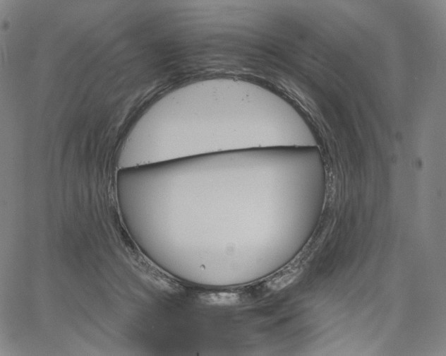 X0000067480361200604070933