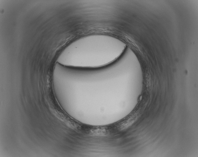 X0000067480362200604070933