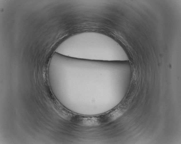 X0000067480363200604070933