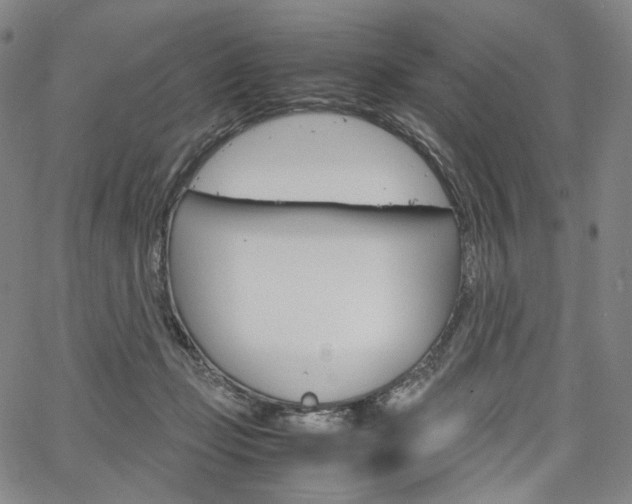 X0000067480365200604070933