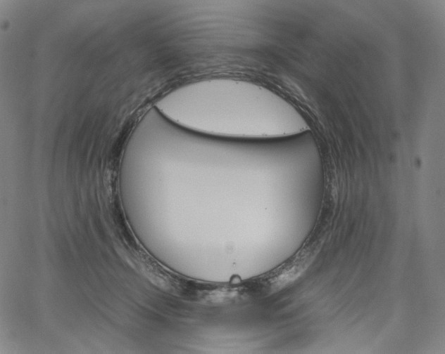 X0000067480366200604070933