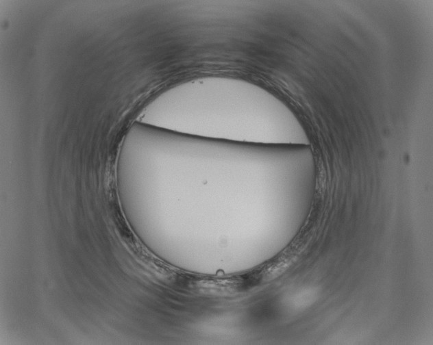 X0000067480367200604070933