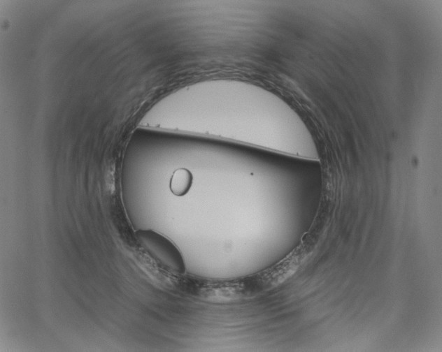 X0000067480368200604070933