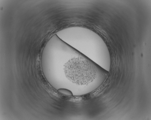 X0000067480369200604070933