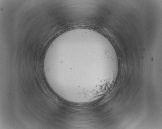 X0000067480370200604070933