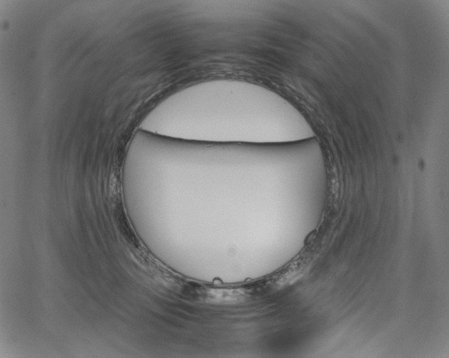 X0000067480371200604070933