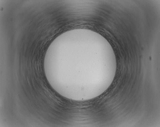 X0000067480372200604070934