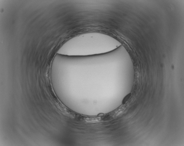 X0000067480373200604070934