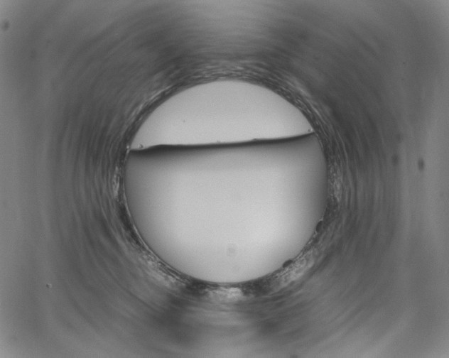 X0000067480374200604070934