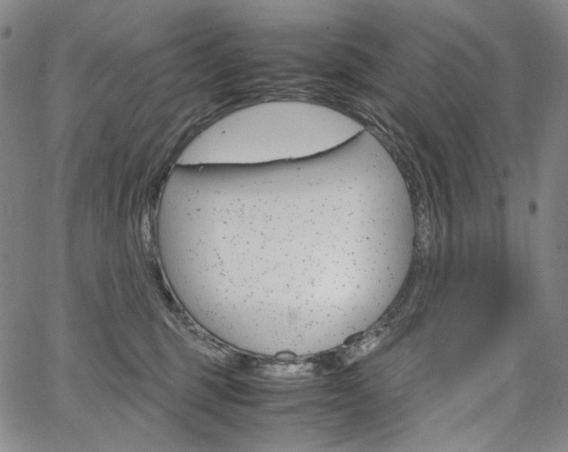 X0000067480375200604070934