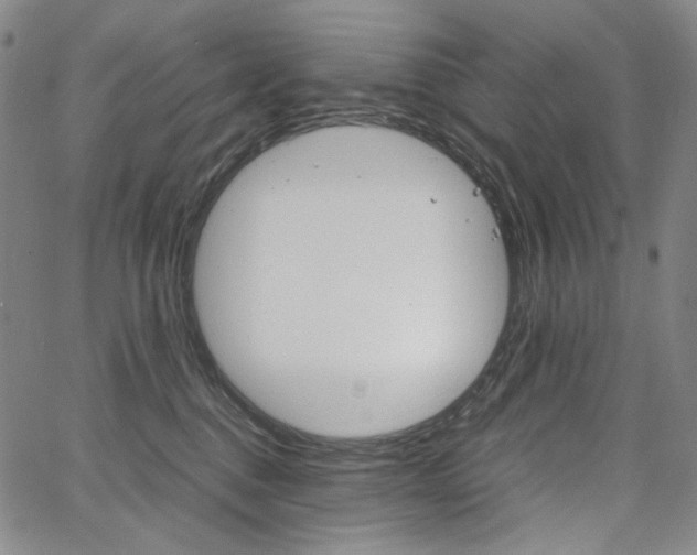 X0000067480376200604070934