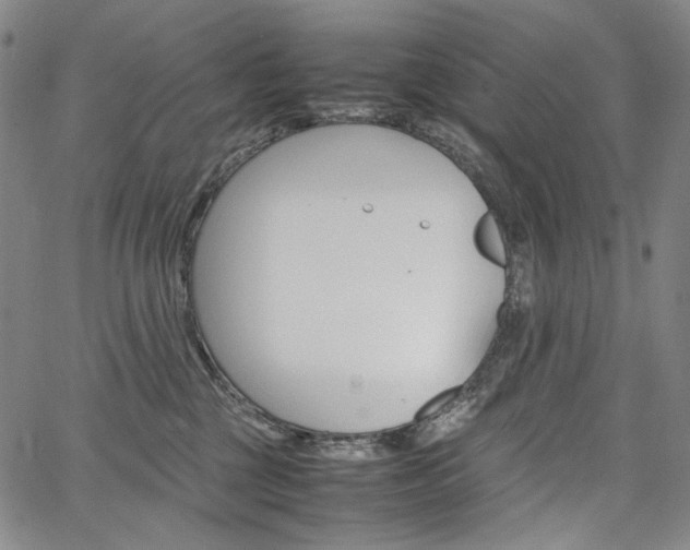 X0000067480377200604070934