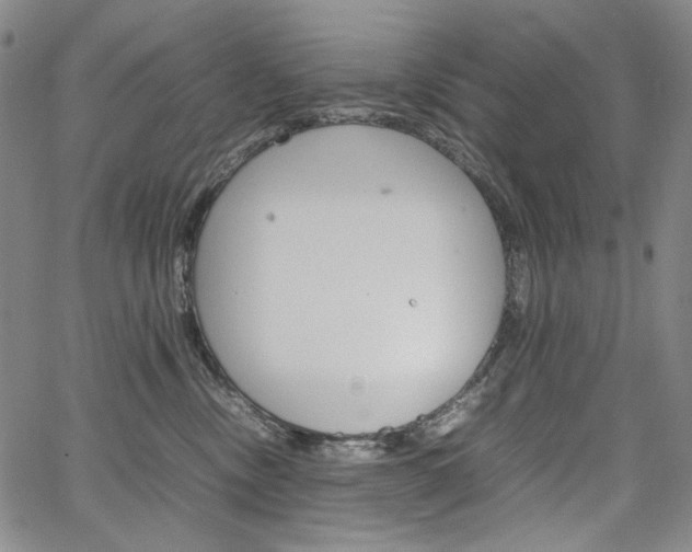 X0000067480378200604070934