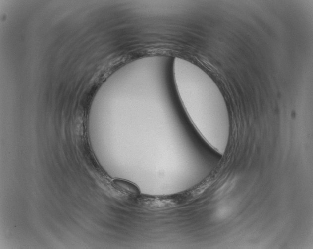 X0000067480379200604070934