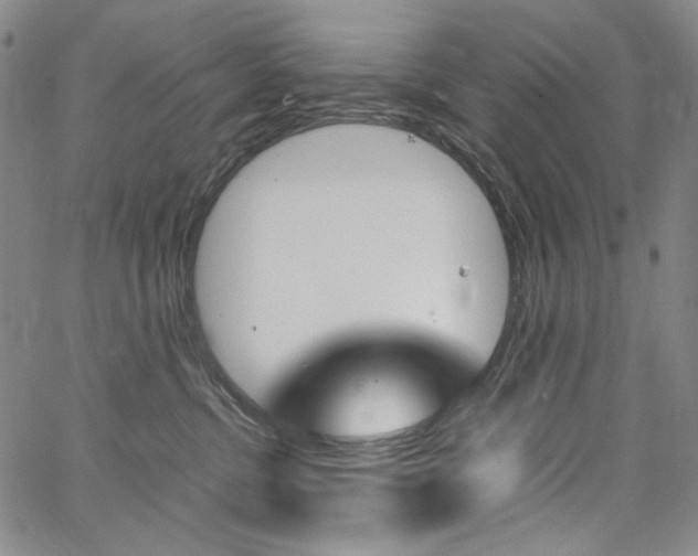 X0000067480380200604070934