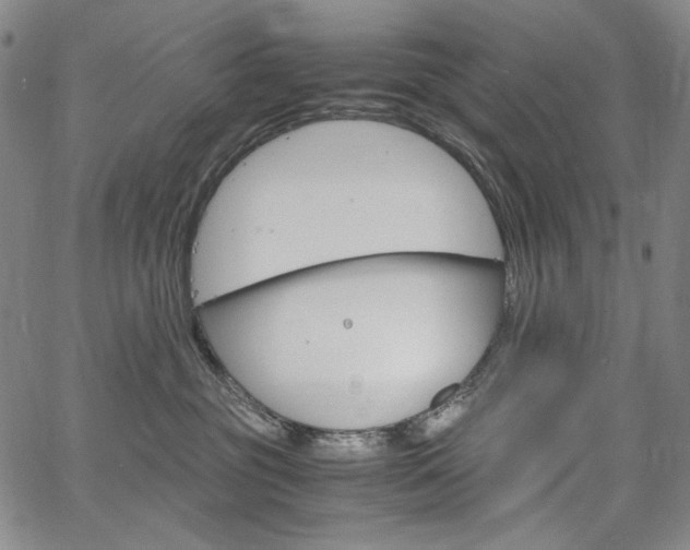 X0000067480381200604070934