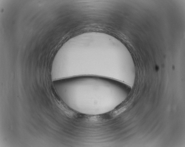 X0000067480382200604070934