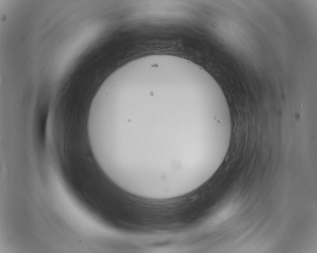 X0000067480383200604070934