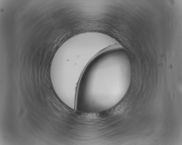 X0000067480384200604070934