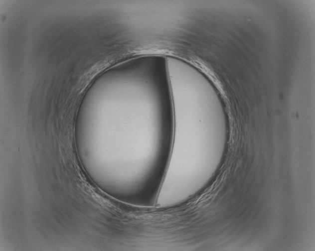 X0000067480385200604070933