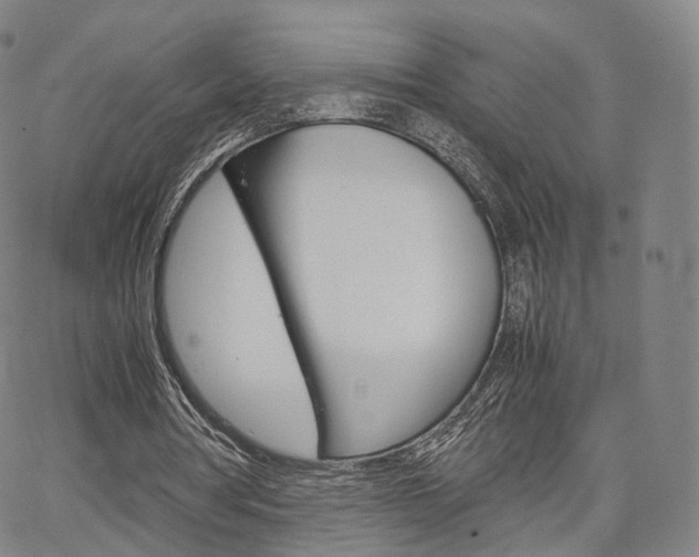 X0000067480386200604070933