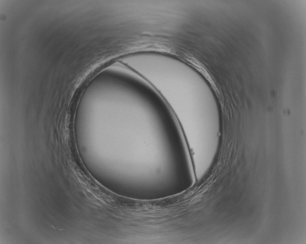 X0000067480387200604070933