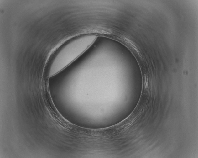 X0000067480388200604070933