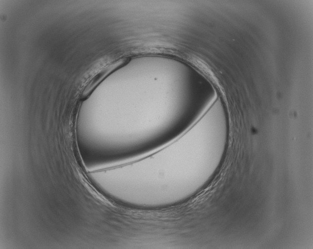 X0000067480389200604070933