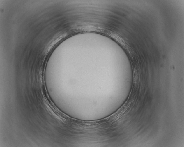 X0000067480390200604070933